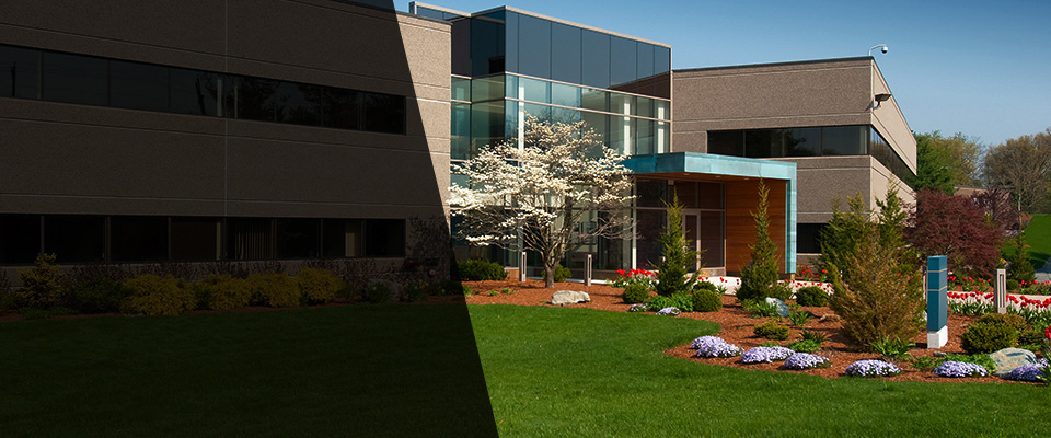 Nicholson Landscapers