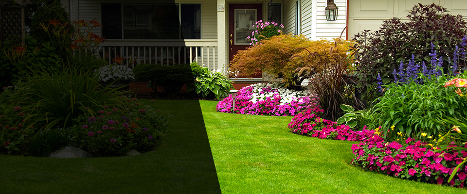 Nicholson Landscapers
