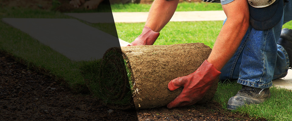 Nicholson Landscapers